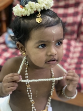 Kutty Krishna