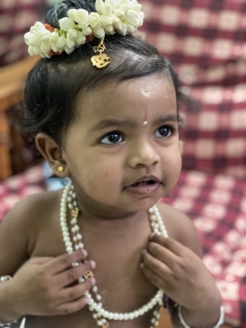 Kutty Krishna